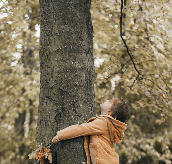 Eco-friendly Decking - NewTechWood
